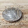 German, Chamomile Seeds - Packet thumbnail number null